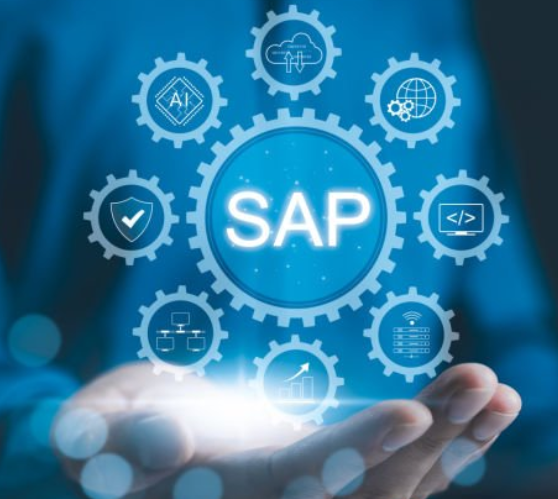 SAP Services